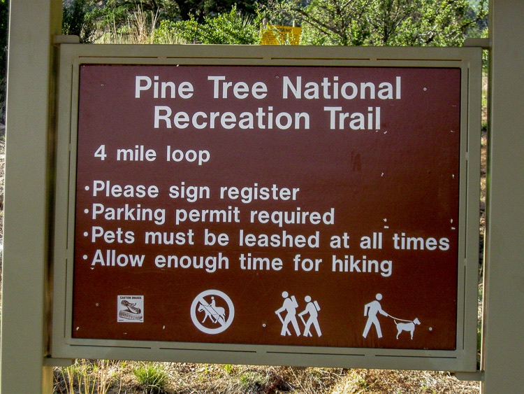Pine Tree Trail Sign