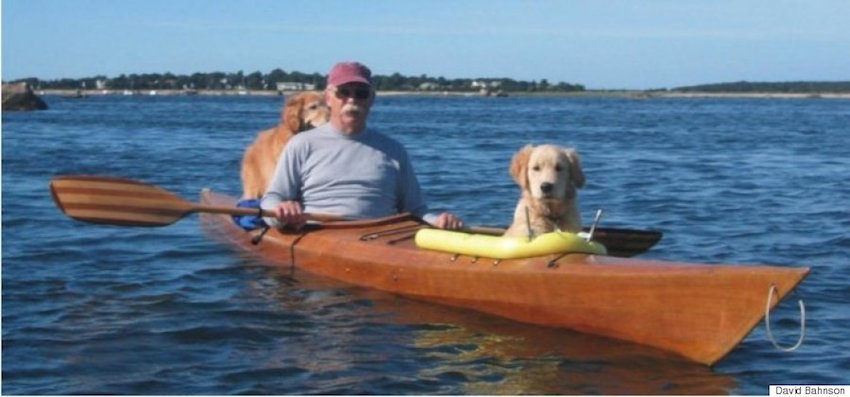 Golden Retrievers Kayaking with their owner
