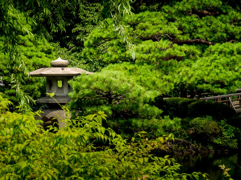 Tōrō  or Japanese lantern near water feature