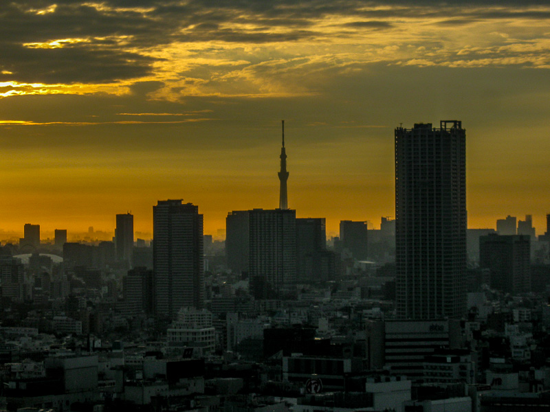  Tokyo Sunrise