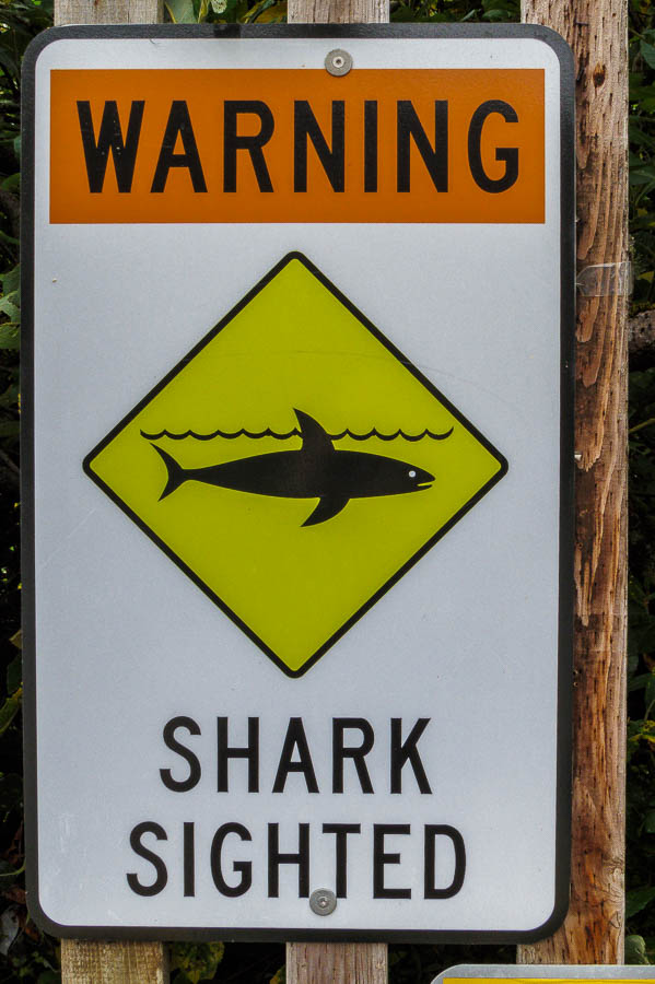 Unusual shark sighting sign