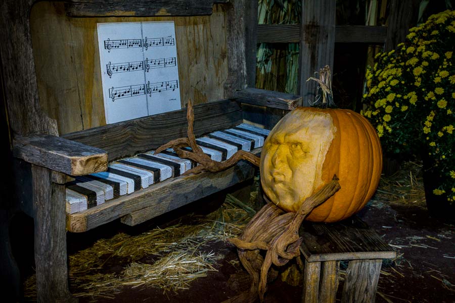 Pumpkin piano man