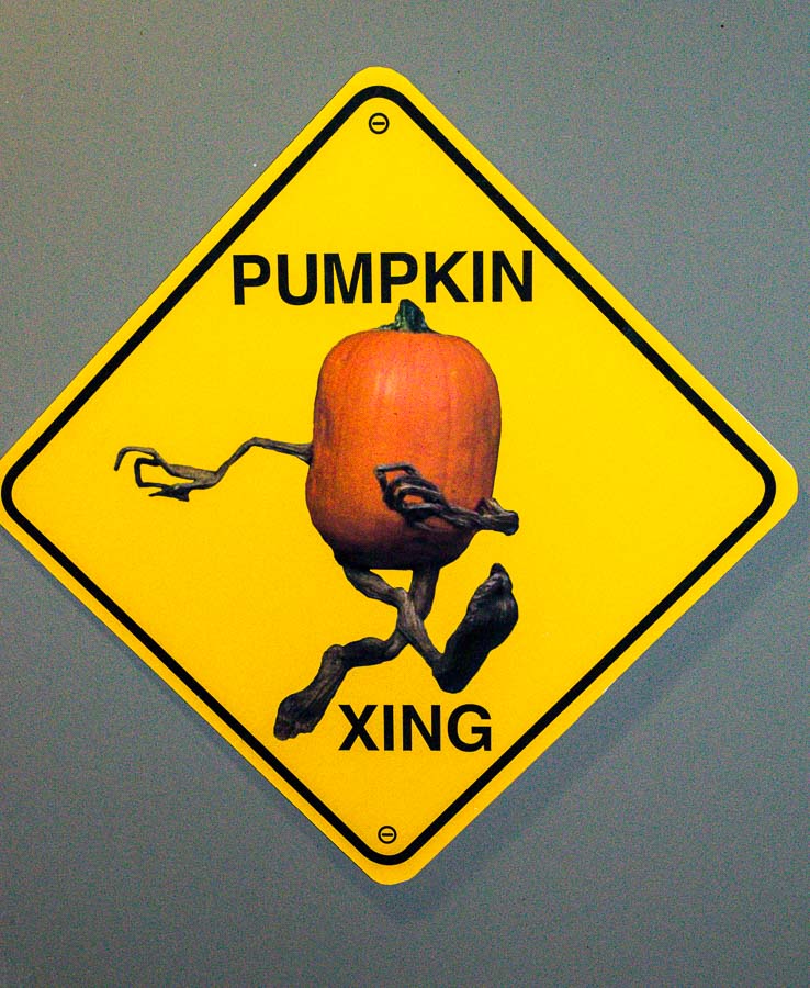 Keep an eye our as there are pumpkins at nearly every turn