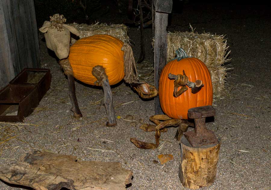 A pumpkin farrier is shoeing a horse