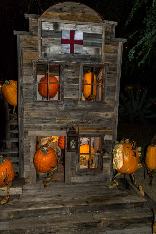 With all the pumpkins in town, sometimes  medical care may be needed