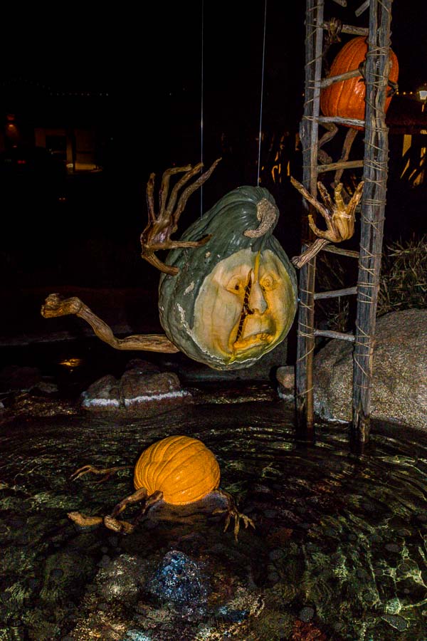 Hard to tell if this pumpkin is having fun or not