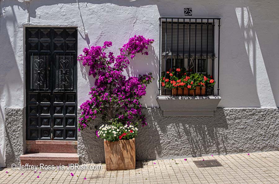 A pretty house view with plants and wooden door