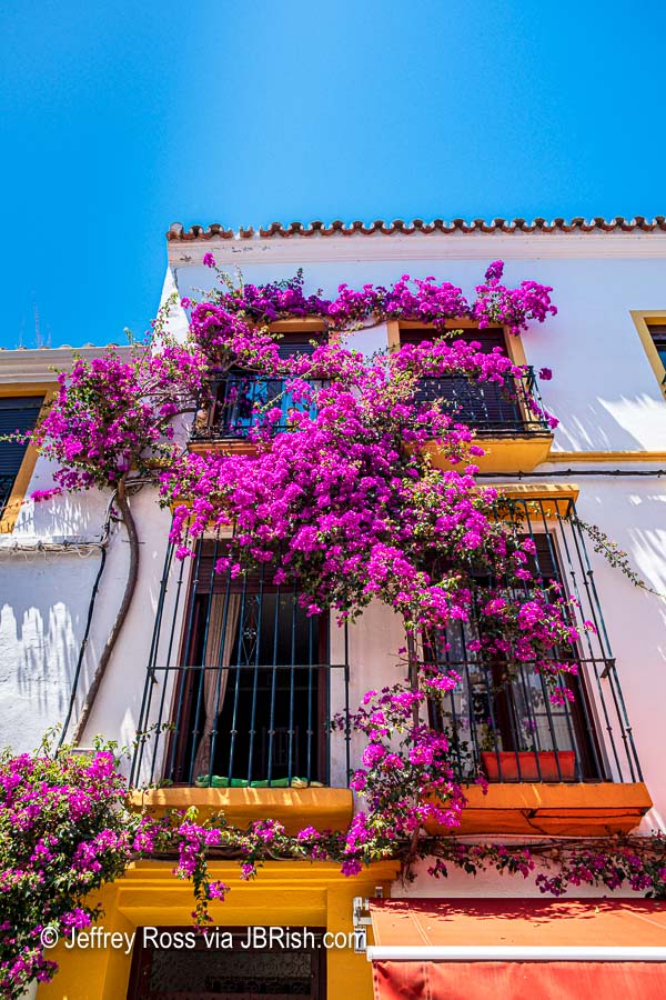 Colorful house and bougainvillea