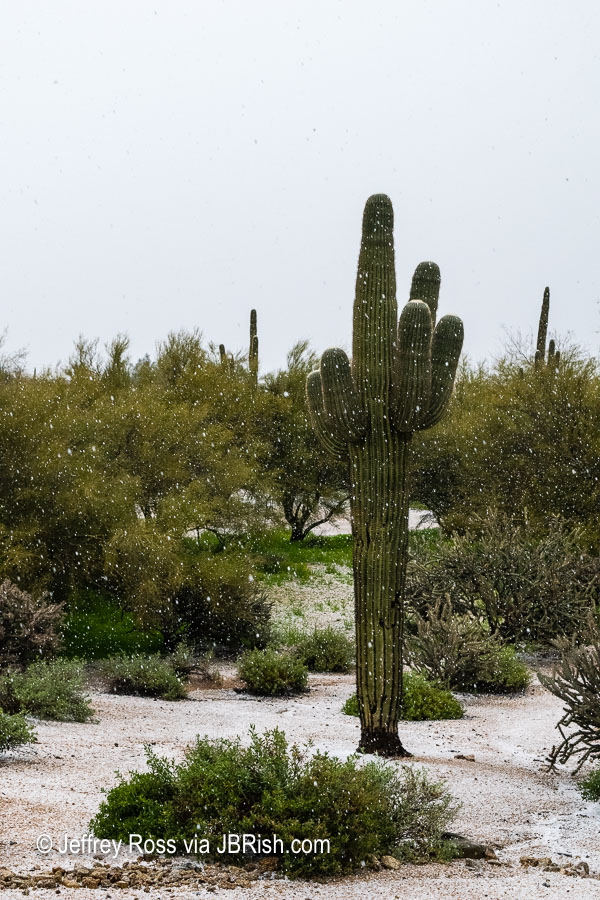 Hail in the Sonoran Desert landscape rocks