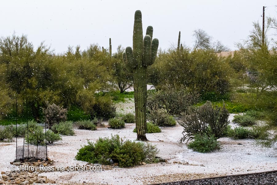 Hail in the Sonoran Desert landscape
