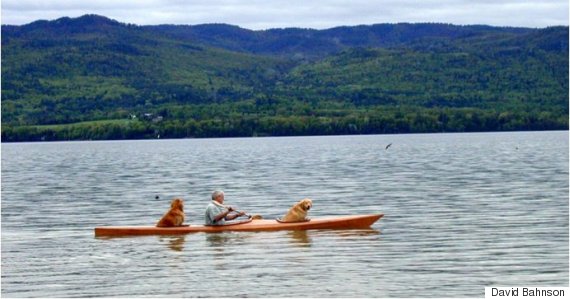 Golden Retrievers Kayaking with their owner
