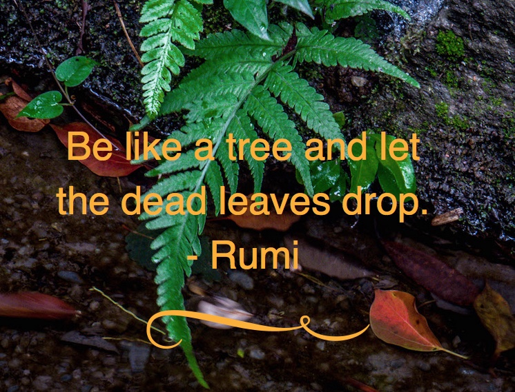 Be like a tree and let the dead leaves drop.