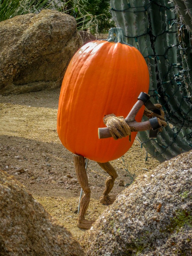 Mischievous Pumpkin with Slingshot