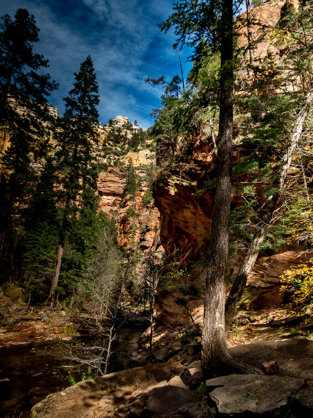 canyon expanse with trees and red rock