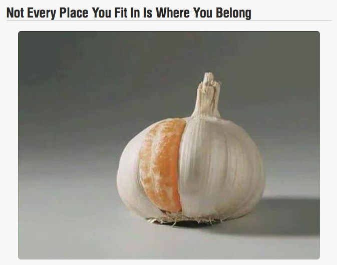 Not Every Place You Fit In Is Where You Belong