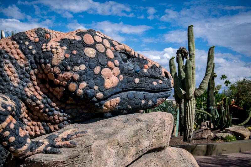 A Gila Monster children's slide at the Sundial playground