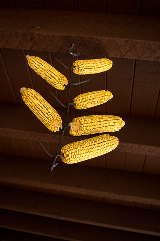 Corn cob bird feeder outside one of the shops