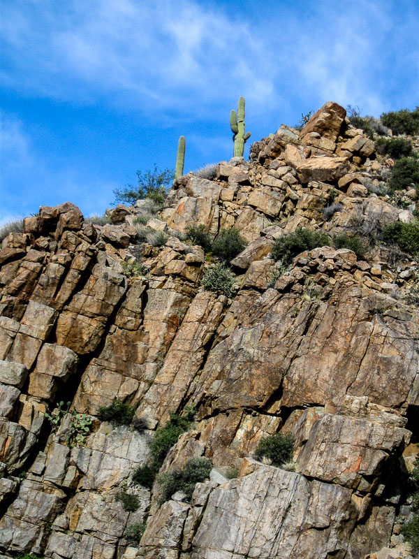 Saguaros along the top of the cliff; unusual for this area