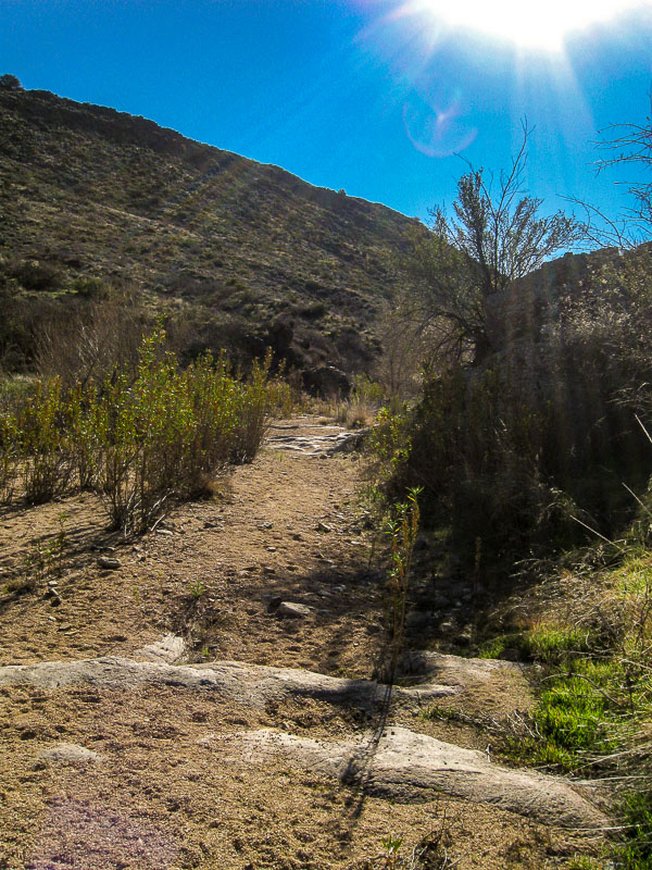 Beginning of the Sandy Trail