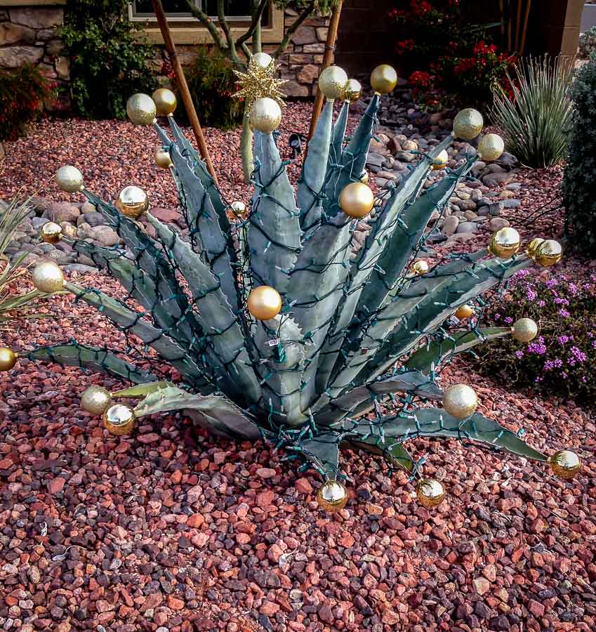 Gold balls on a green agave