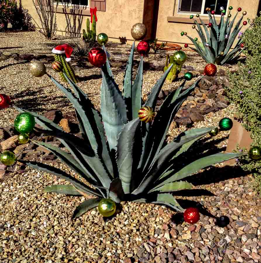 Colorful variety of Christmas balls on an agave