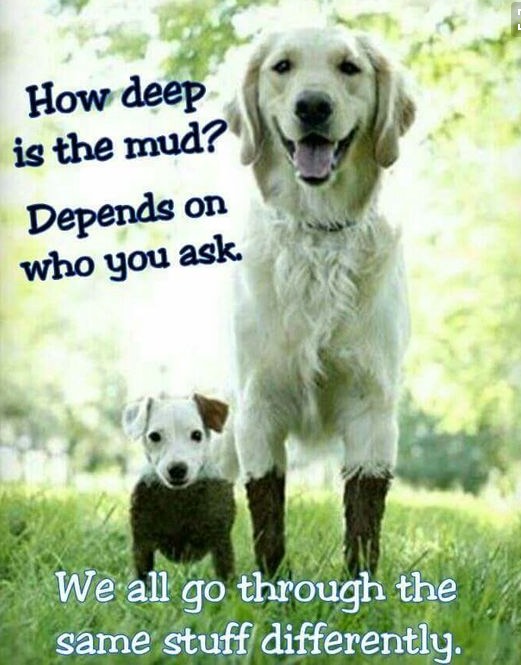 How Deep Is the Mud? Depends on Who You Ask!