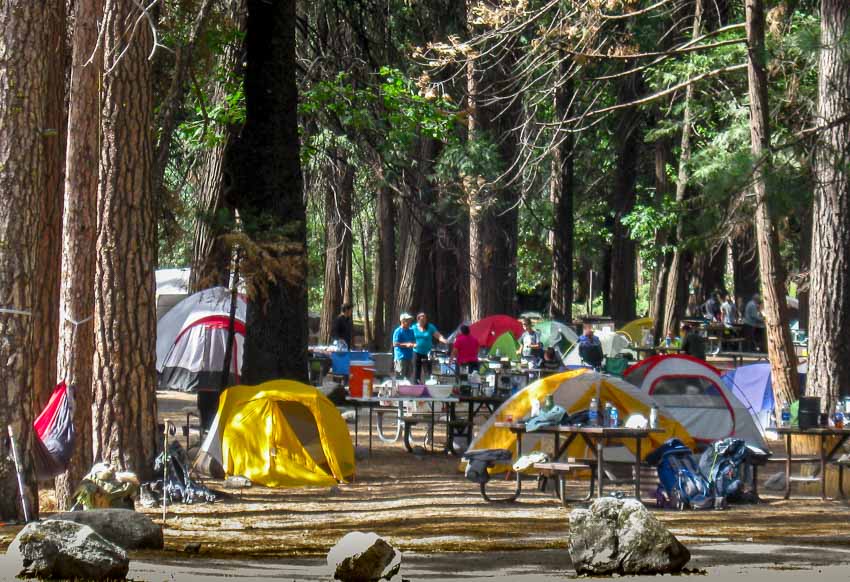 crowded Yosemite campsite