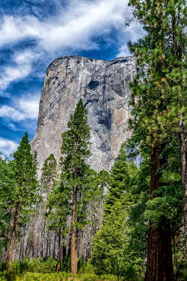 El Capitan from the meadow