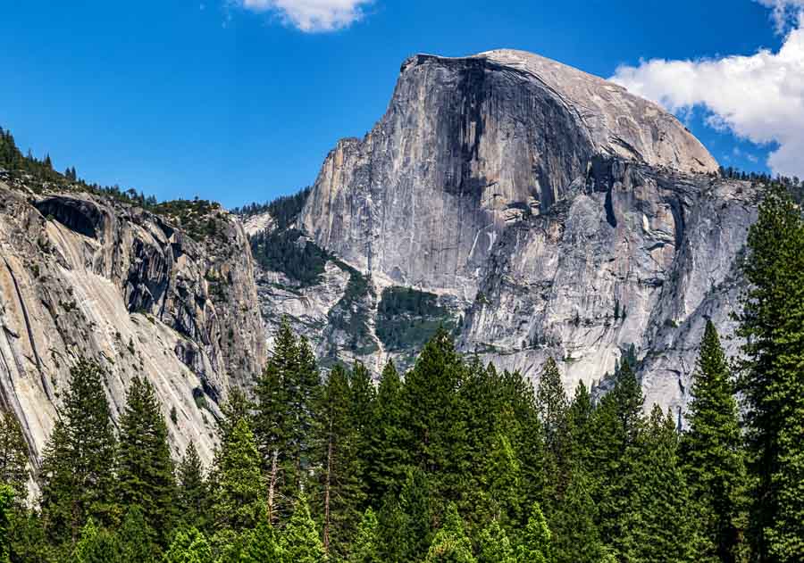 Half Dome above the trees