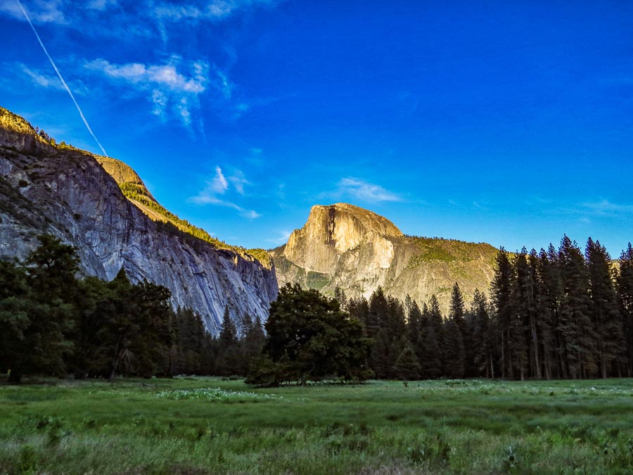 Half Dome from the Meadow