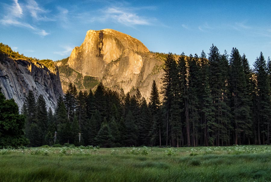 Half Dome from the Meadow
