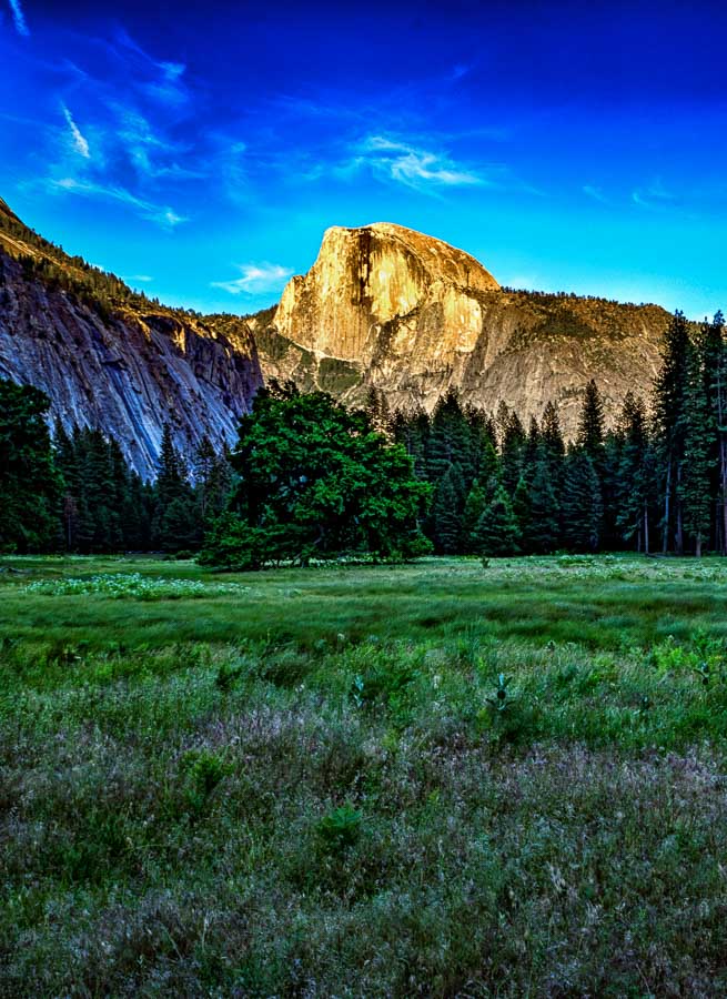 Half Dome from the Ahwahnee Meadow