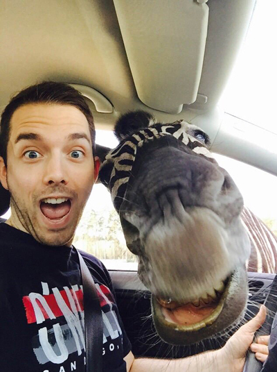 Zebra Selfie