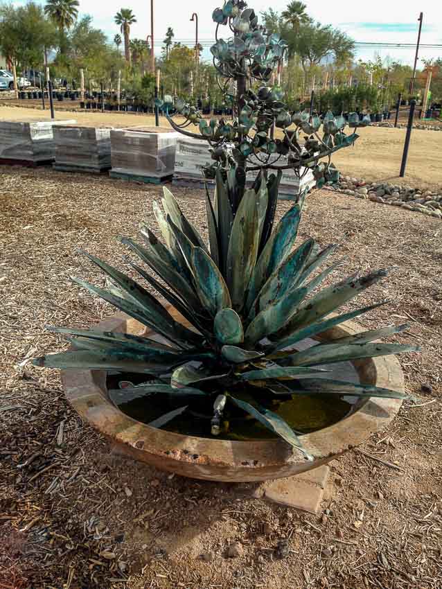 Agave Farm picture