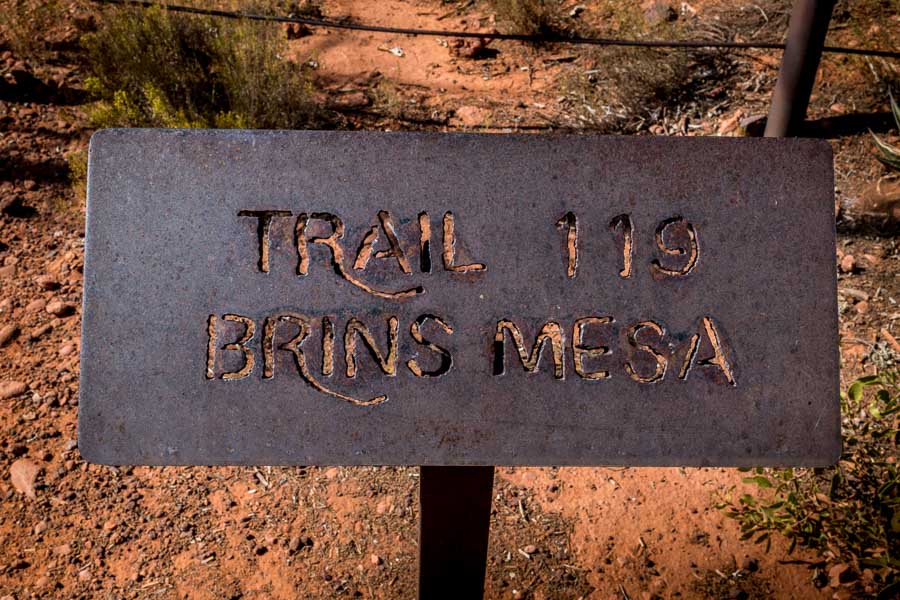along the Brins Mesa Trail - Sedona, AZ