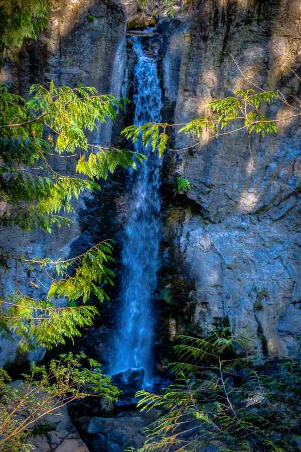 A more picturesque view of Drift Creek Falls