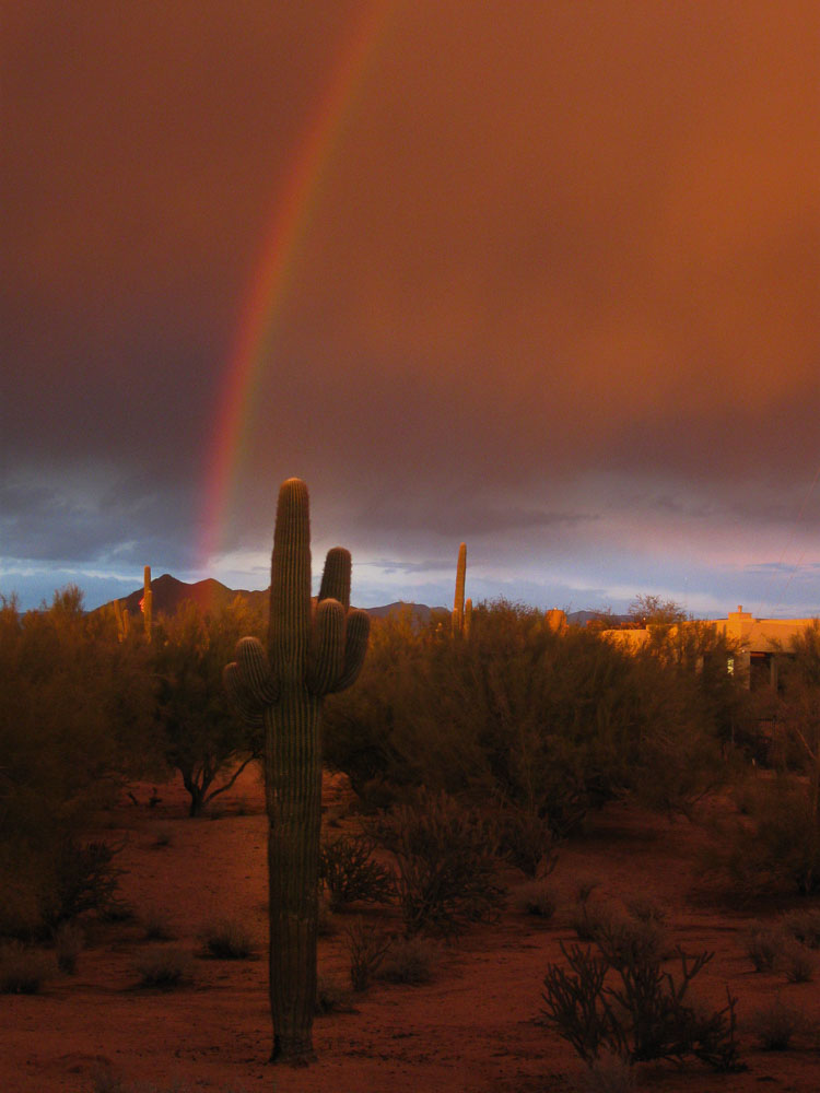 Rainbow over Sonoran Desert